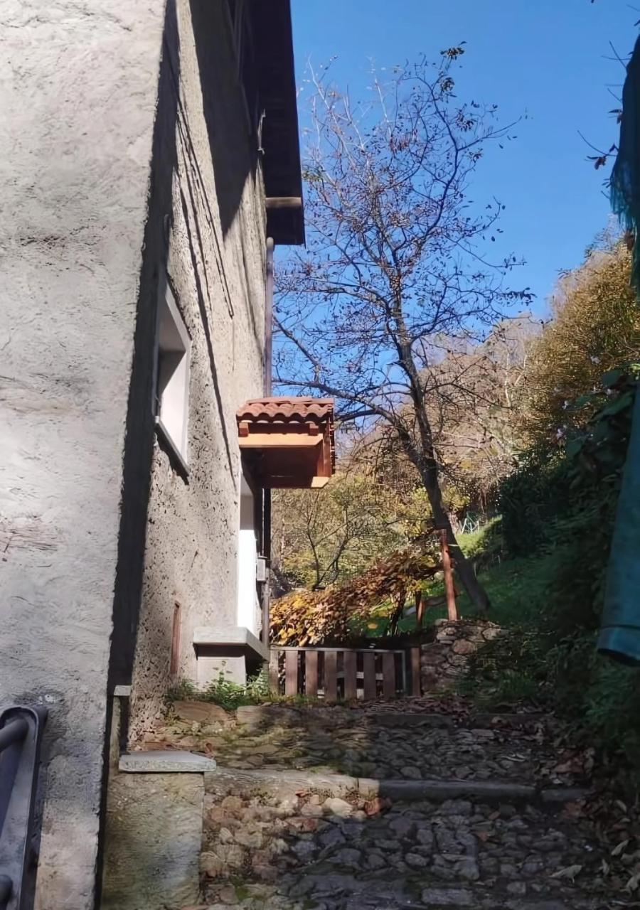 Alpaca'S House: Green, Animals & Lake View Bellano Zewnętrze zdjęcie